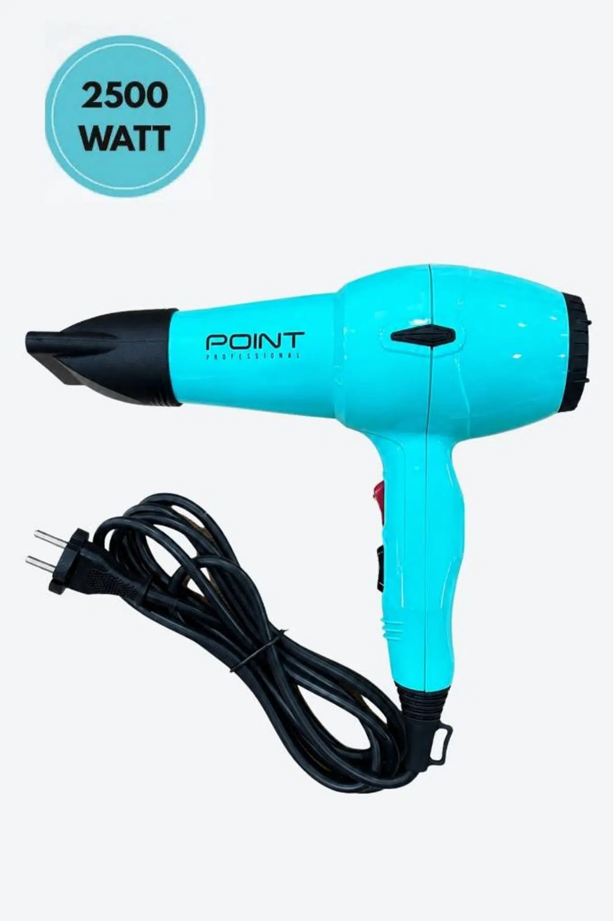 Point Blow Dryer Tam Profesyonel 2500 Watt AC Motor Fön Makinesi Turkuaz